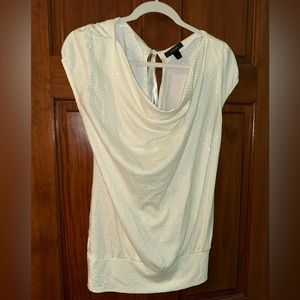 Express Shimmer Blouse